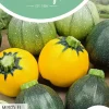 Horti tops zaden Courgette Ronde F1 soorten, gemengde kleuren