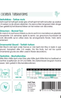 Horti tops zaden cucurbita, sierkalebas turkse muts