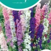 Horti tops zaden delphinium, ridderspoor imperial gemengd