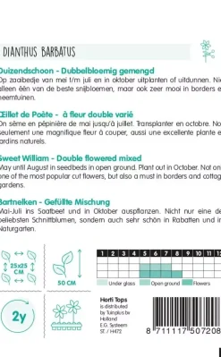 Horti tops zaden dianthus, duizendschoon dubbelbloemig gemengd