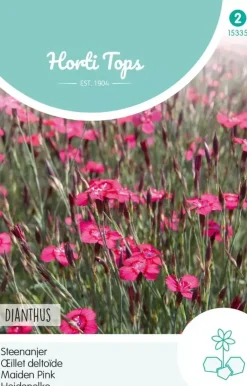 Horti tops zaden dianthus, steenanjer karmijnrose