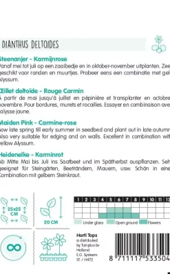 Horti tops zaden dianthus, steenanjer karmijnrose