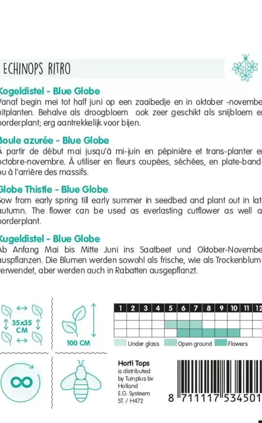 Horti tops zaden echinops, kogeldistel blue globe