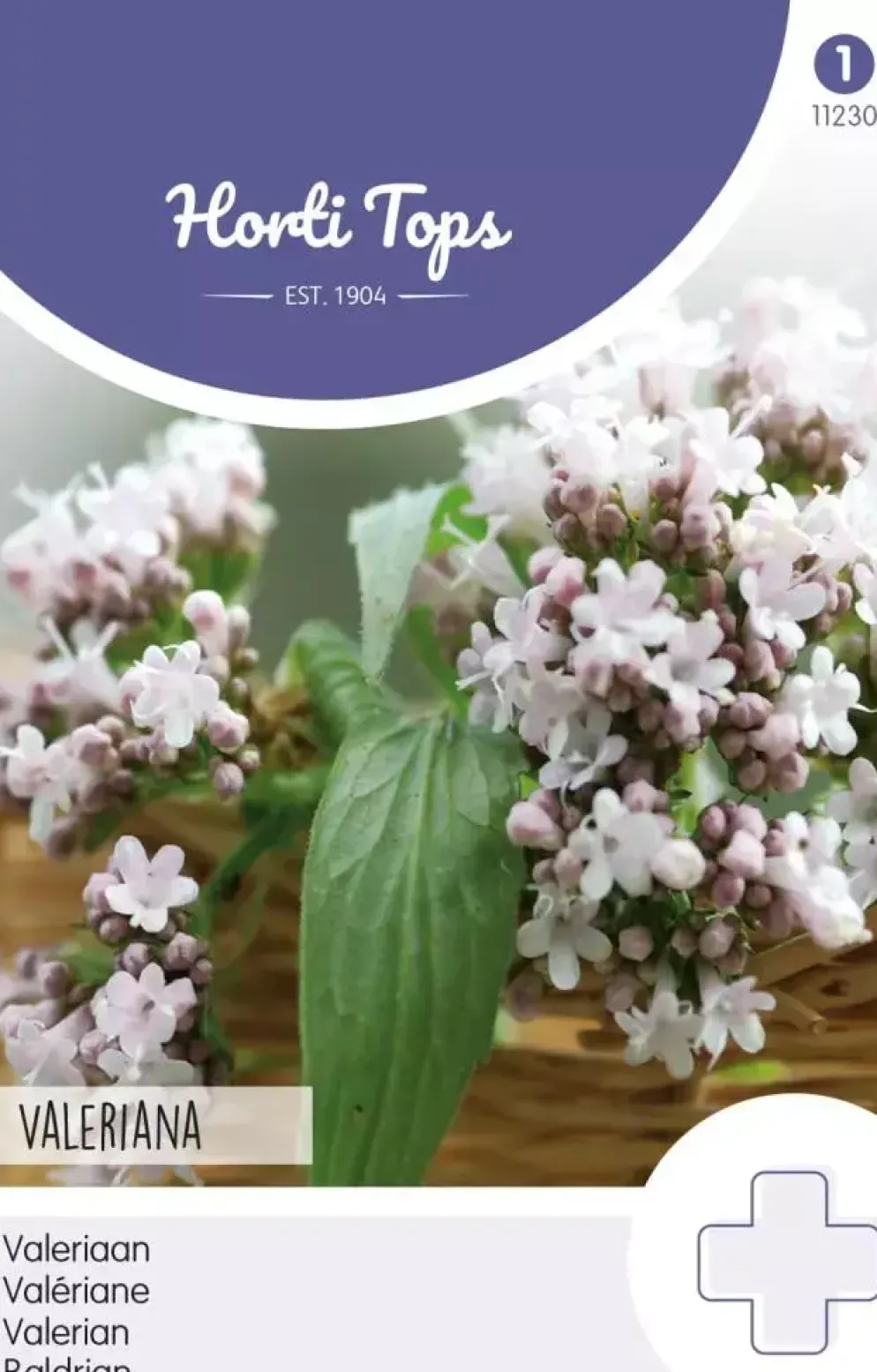 Horti tops zaden echte valeriaan