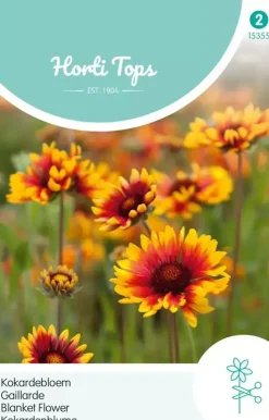 Horti tops zaden Gaillardia, Kokardebloem