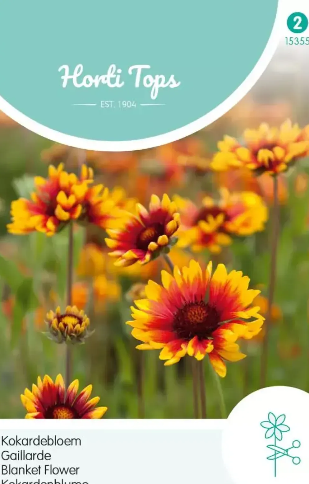 Horti tops zaden Gaillardia, Kokardebloem