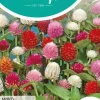 Horti tops zaden gomphrena, kogelamarant gemengd