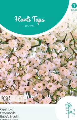 Horti tops zaden gypsophila, Gipskruid elegans roze