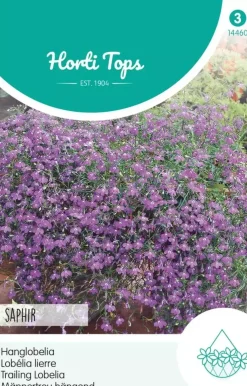 Horti tops zaden, Hanglobelia saphir