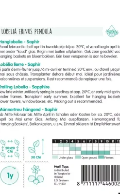 Horti tops zaden, Hanglobelia saphir