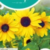 Horti tops zaden helianthus, zonnebloem stella