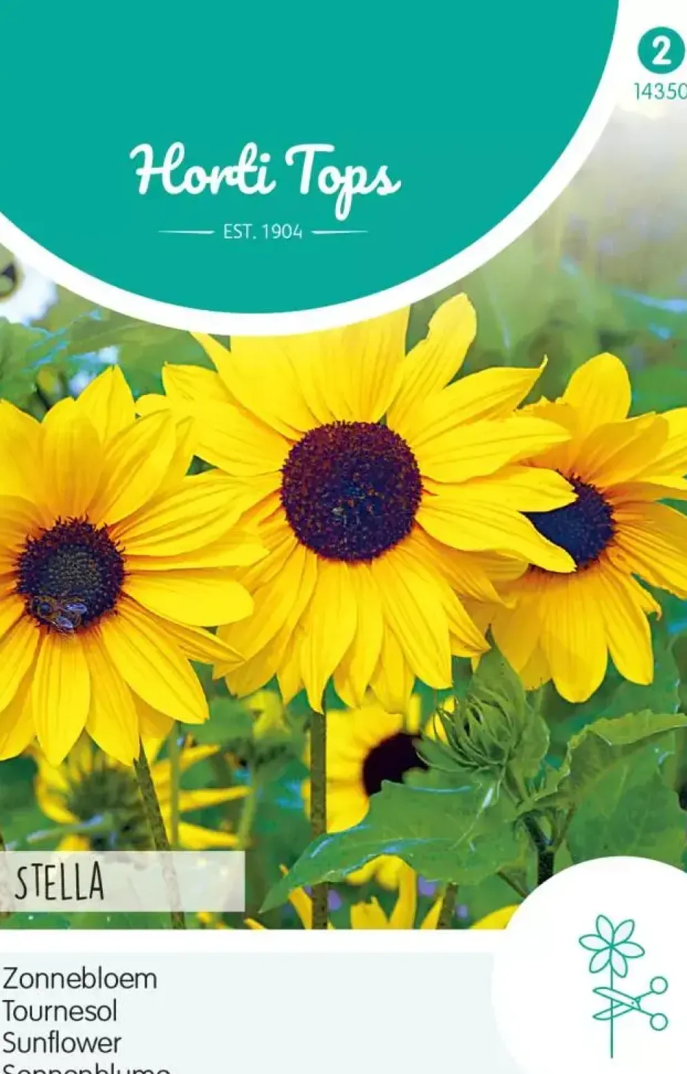 Horti tops zaden helianthus, zonnebloem stella