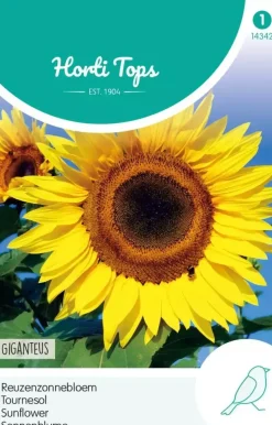 Horti tops zaden helianthus, zonnebloem giganteus