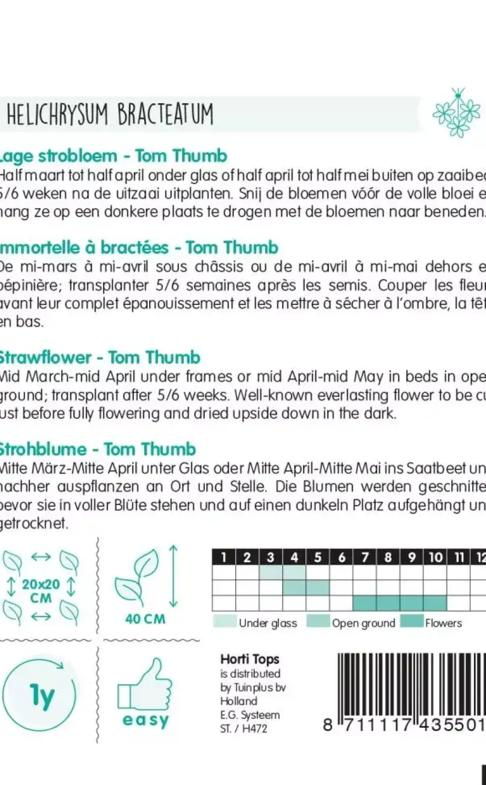 Horti tops zaden helichrysum, lage strobloem tom thumb