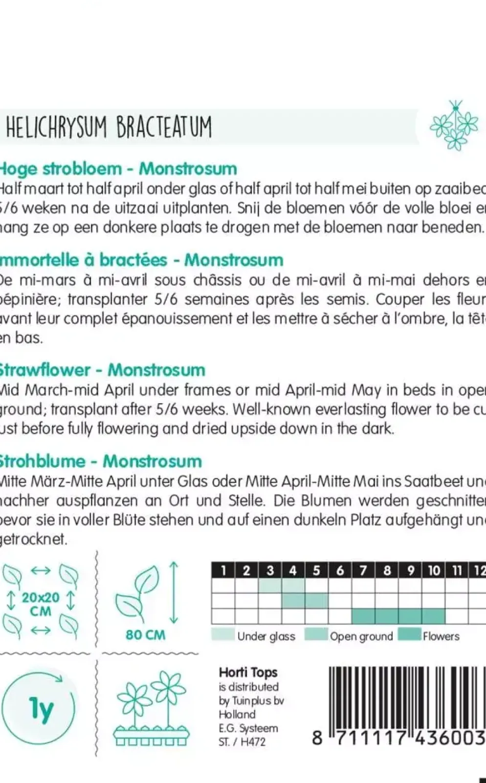 Horti tops zaden Helichrysum, Hoge strobloem Monstrosum