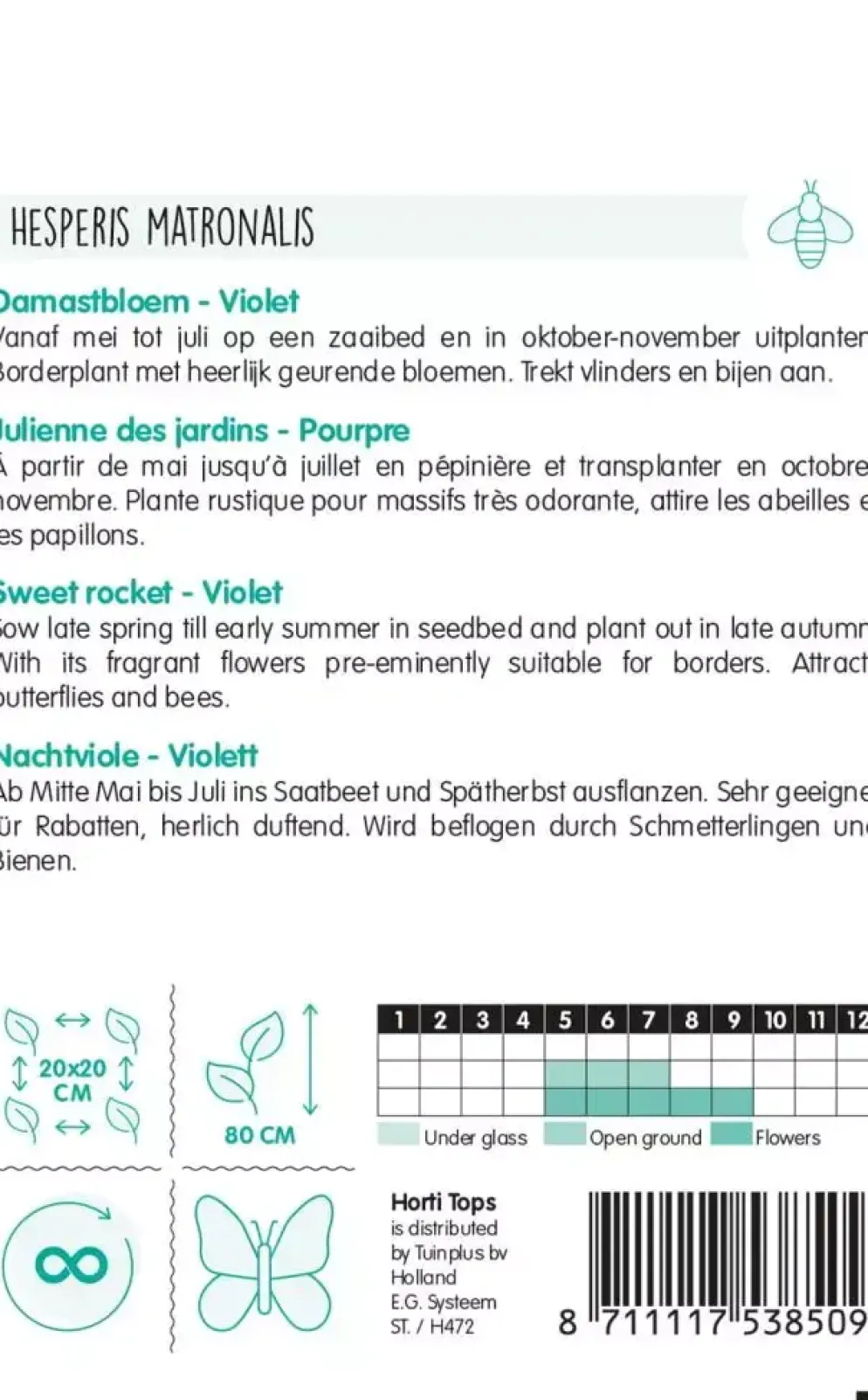 Horti tops zaden hesperis, damastbloem violet