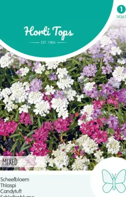 Horti tops zaden iberis, scheefbloem gemengd
