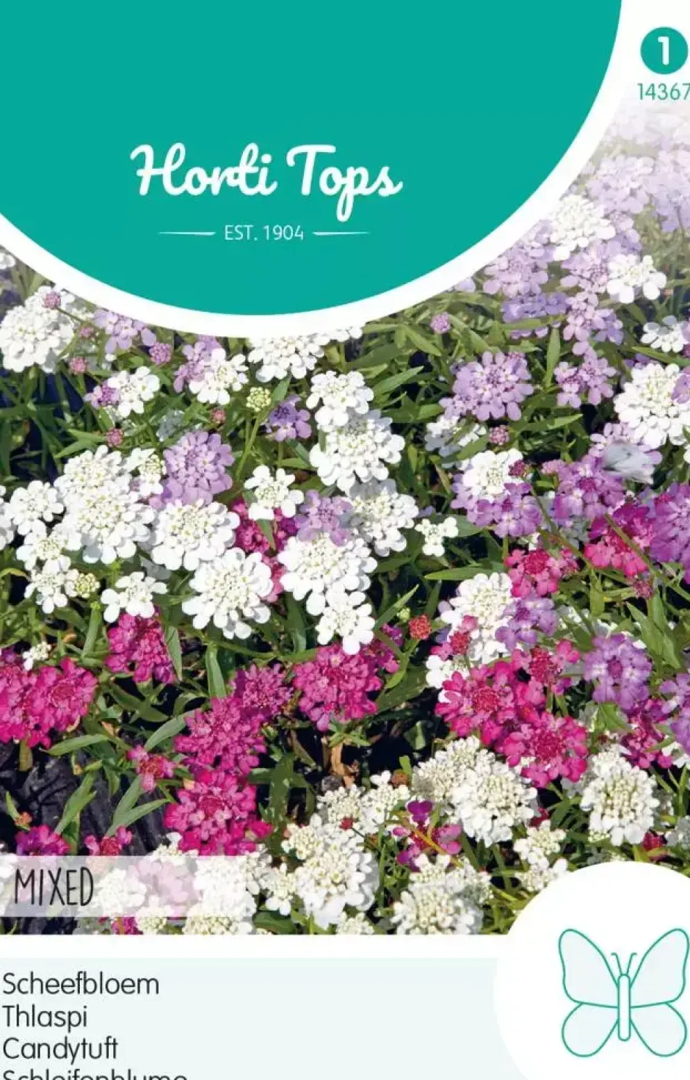Horti tops zaden iberis, scheefbloem gemengd