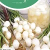 Horti tops zaden inmaakuien de barletta