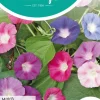 Horti tops zaden ipomoea, klimmende winde gemengd
