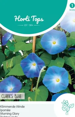 Horti tops zaden ipomoea, klimmende winde clark's blue