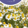 Horti tops zaden kamille