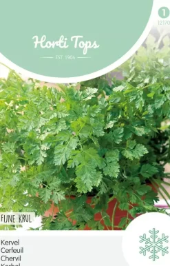 Horti tops zaden kervel fijn krul