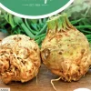 Horti tops zaden knolselderie dolvi, verb. prager reuzen