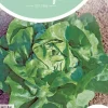 Horti tops zaden kropsla milan