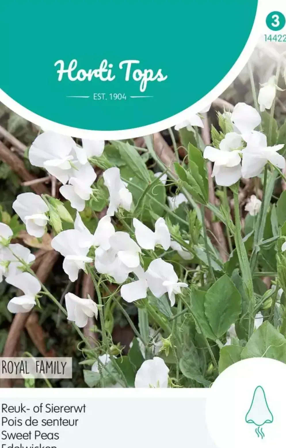 Horti tops zaden lathyrus, reuk- of siererwt royal family wit