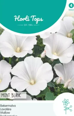 Horti tops zaden Lavatera, Bekermalva mont blanc