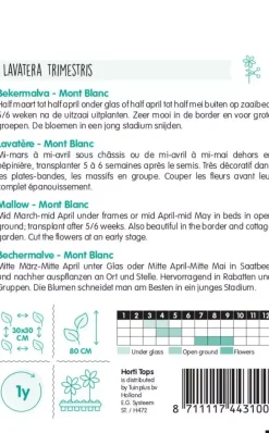 Horti tops zaden Lavatera, Bekermalva mont blanc