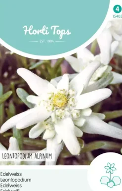 Horti tops zaden leontopodium alpinum, edelweiss