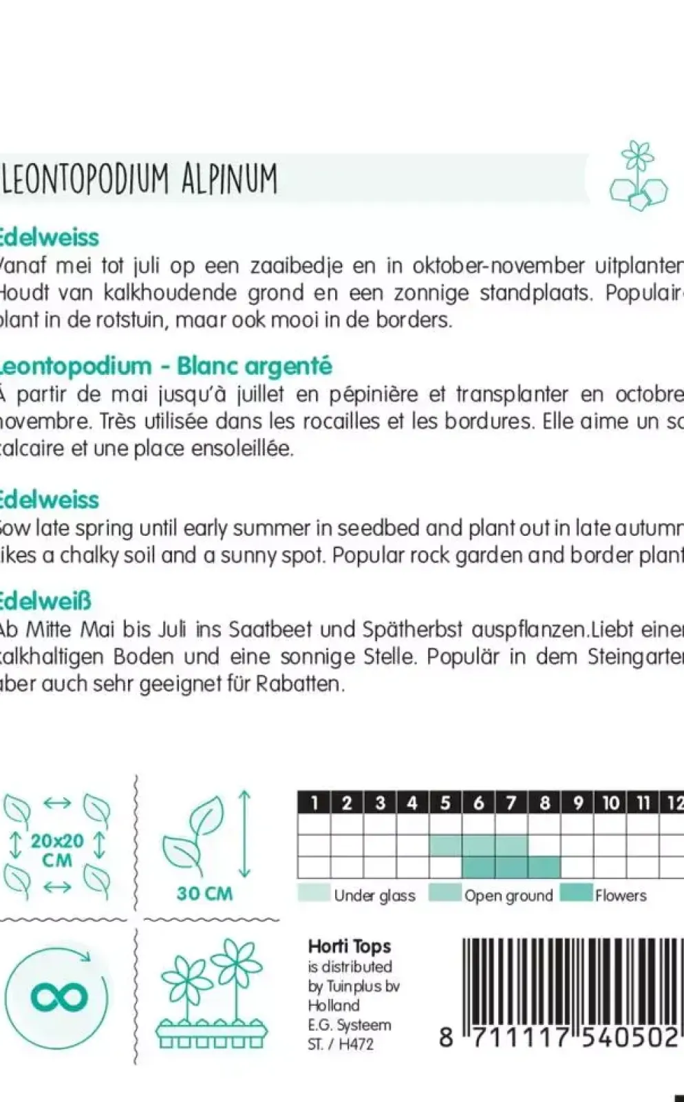 Horti tops zaden leontopodium alpinum, edelweiss