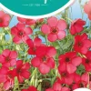Horti tops zaden linum, roodbloeiend vlas