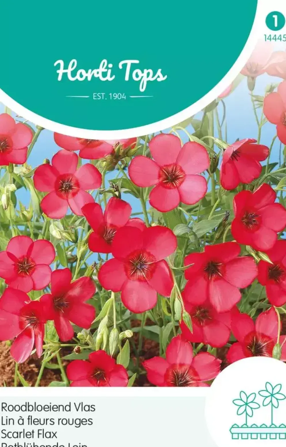Horti tops zaden linum, roodbloeiend vlas