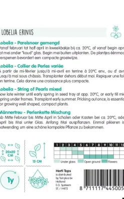 Horti tops zaden lobelia parelsnoer gemengd
