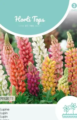 Horti tops zaden lupinus, lupine minarette gemengd