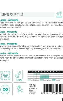 Horti tops zaden lupinus, lupine minarette gemengd
