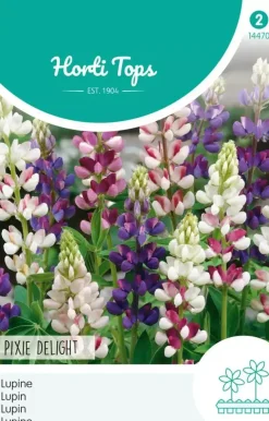 Horti tops zaden lupinus, lupine pixie delight gemengd
