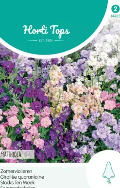 Horti tops zaden Matthiola, Zomerviolier gemengd