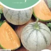 Horti tops zaden meloenen charentais