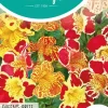 Horti tops zaden mimulus, maskerbloem queen's prize