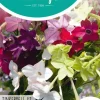 Horti tops zaden nicotiana, siertabak tinkerbell
