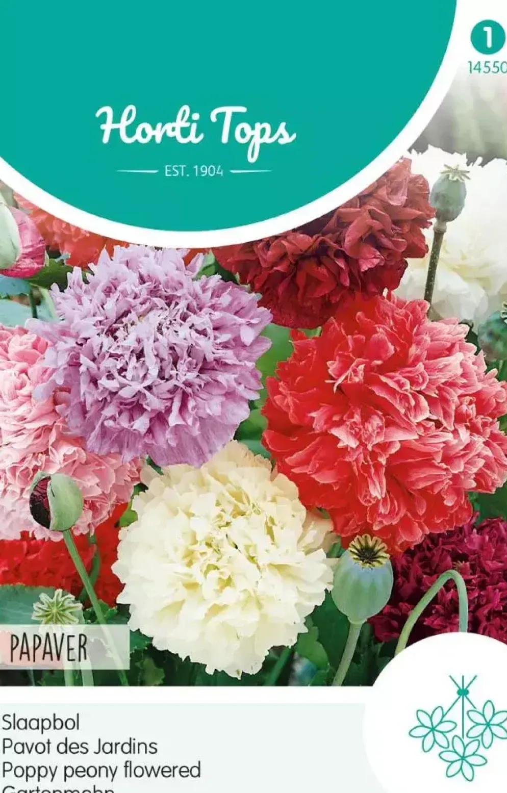 Horti tops zaden papaver, slaapbol gemengd