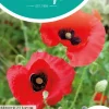 Horti tops zaden papaver, tulppapaver