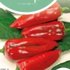 Horti tops zaden paprika atris hybride
