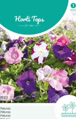 Horti tops zaden petunia laag gemengd