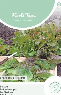 Horti tops zaden pluksla amerikaanse roodrand
