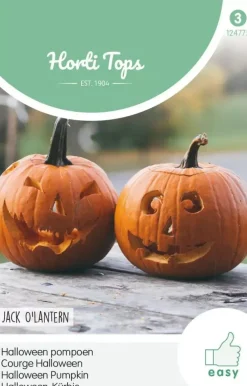 Horti tops zaden pompoen jack o'lantern